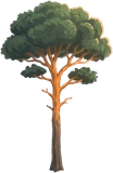 Pine, as drawn for the game.