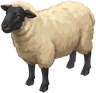 Sheep, as drawn for the game.