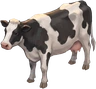 Cow, as drawn for the game.