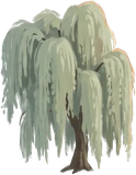 Willow, as drawn for the game.