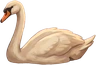 Swan, as drawn for the game.
